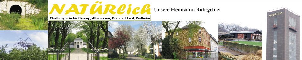 NATRlich - Ausgabe 2008